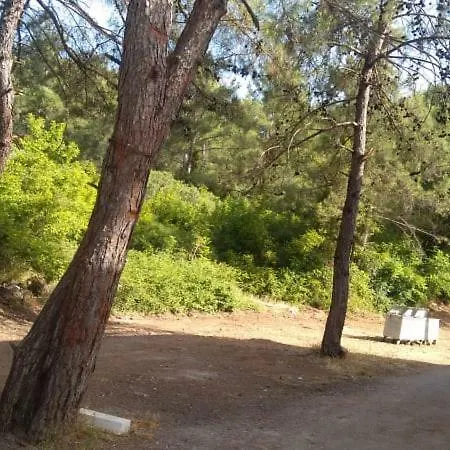 Tayfun * Marmaris